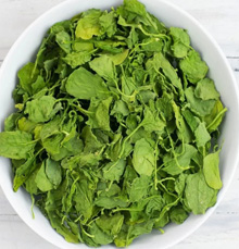 Dried Palak